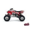 Kit Déco Quad Spirit Honda 450 TRX (2008-2009)