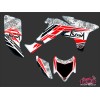 Kit Déco Quad Spirit Honda 450 TRX (2008-2009)
