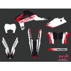Kit Deco Moto Cross Pulsar GASGAS 250 ECF