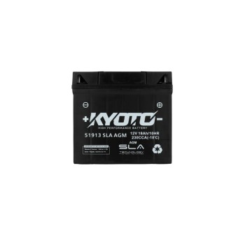 Batterie 51913 SLA AGM
