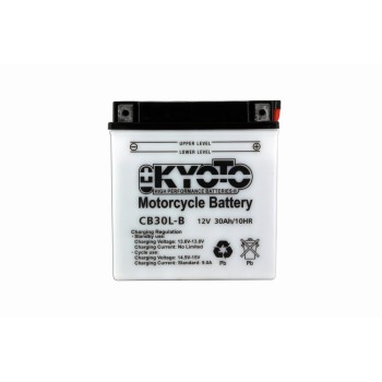 Batterie YB30L-B Conventionnelle Avec Entretien - Livrée Avec Pack Ac