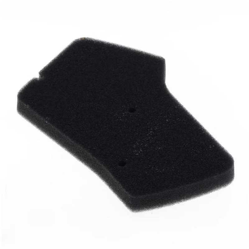 Filtre à Air HONDA SC01 50 cm³