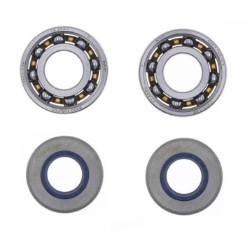 Kit Révision Vilebrequin Spy + Roulements SKF pour Moteurs Minarelli