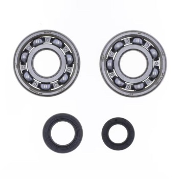 Kit Révision Vilebrequin Spy + Roulements SKF