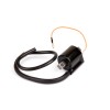 Bobine d'allumage Aprilia - Benelli Beta - Malaguti - MBK - Yamaha 12V