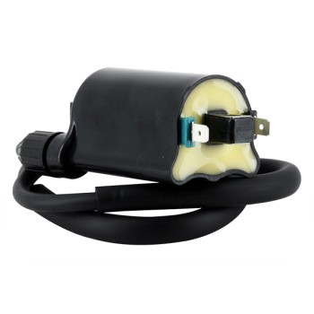 Bobine d'allumage Honda 12V - 2.7 Ohm Entraxe 80mm 2 Fils