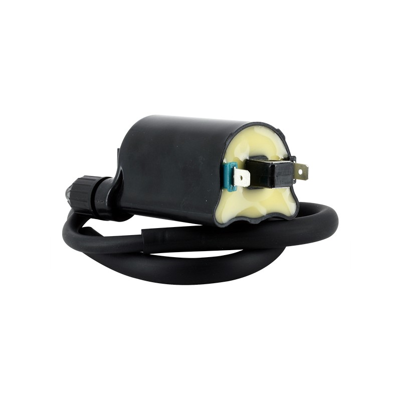 Bobine d'allumage Honda 12V - 2.7 Ohm Entraxe 80mm 2 Fils