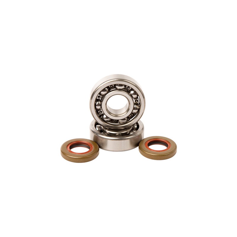 Kit Roulements De Vilebrequin