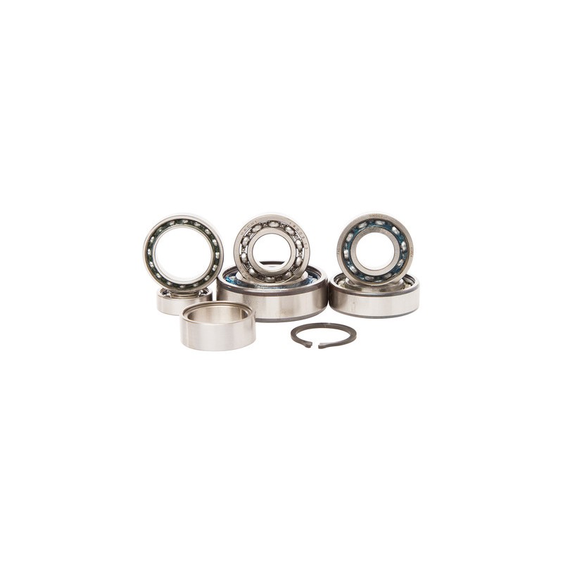 Kit Roulements de boîte De Vit