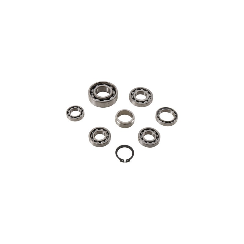 Kit Roulements de boîte De Vit