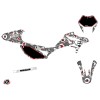 Kit Deco 50cc Freegun Eyed Beta RR 50 Motard Gris Rouge